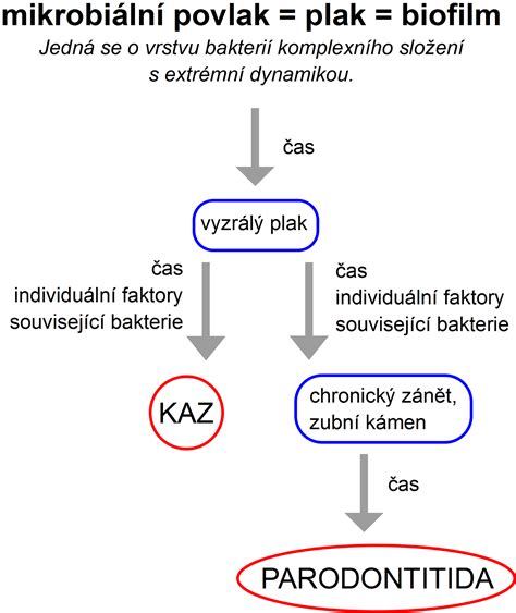 Schéma vývoje robotů a jejich vzpoury.