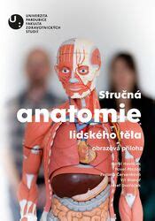 Anatomie lidského těla pro trenéry
