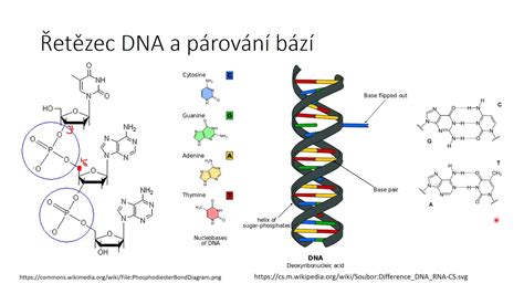 Schéma molekulární struktury léčiv