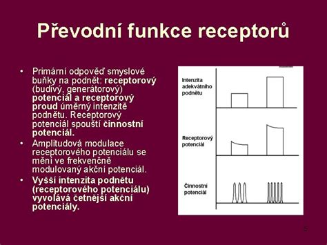 Struktura a funkce receptorů