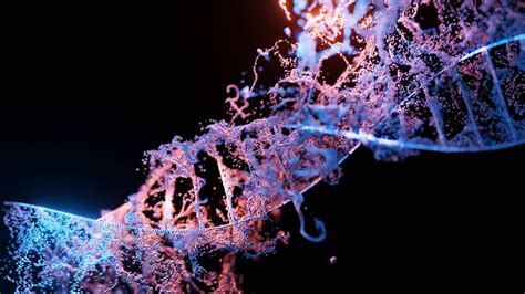 Vizualizace DNA a lišejníků