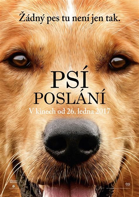 Kino s plakáty filmů