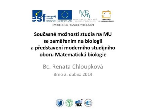 Struktura studijního oboru Česko-německá studia