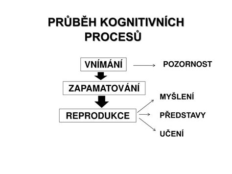 Schéma znázorňující proces vnímání hmatových podnětů