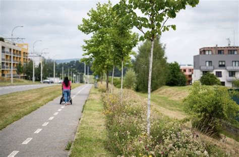 Složení nového substrátu: kal, biouhel, glaukonit
