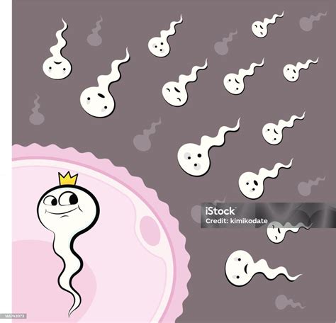Ilustrace metod inseminace ovcí