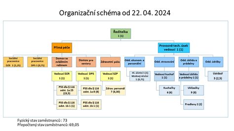 Schéma organizační struktury mikrobiologického ústavu