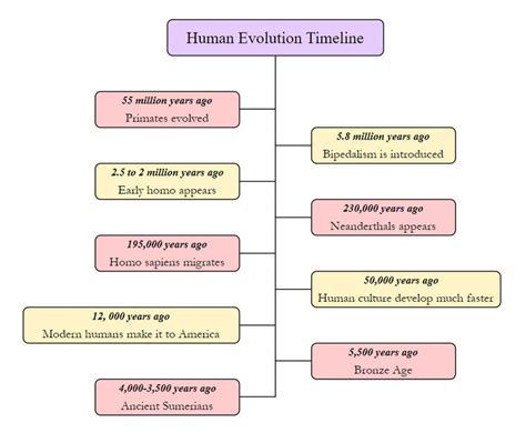 Schéma evoluce druhů
