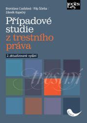 Schéma metodologie případové studie