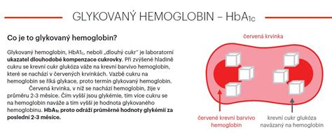 Schéma vzniku glykovaného hemoglobinu