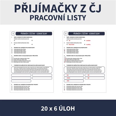 Příprava na přijímací zkoušky z češtiny