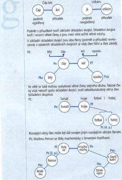 Grafické znázornění absolventů podle oborů