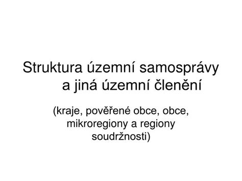 Struktura městské samosprávy Plzně
