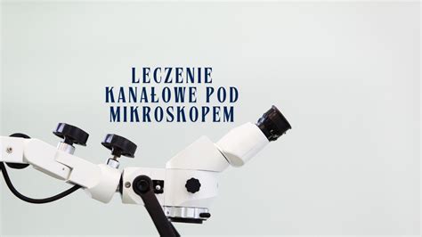 Příklady forenzních analýz mikroskopem