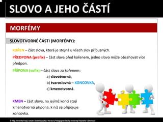 Struktura slova a jeho morfémy