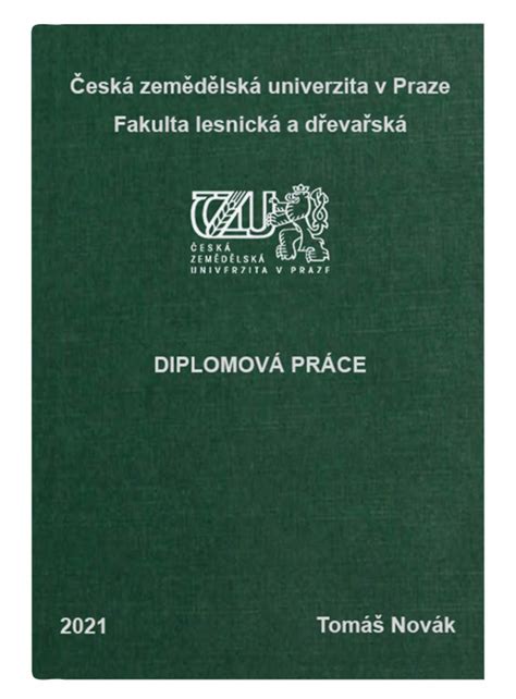 Příklady témat diplomových prací z historie