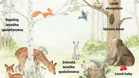 Struktura diverzifikovaného lesa