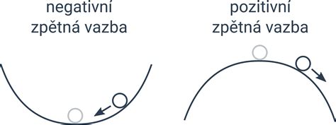 Ilustrace principu zpětné vazby