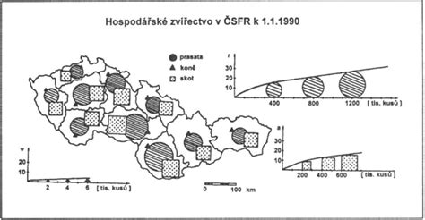 Diagram znázorňující strukturu SZZk