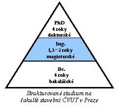 Struktura studijních programů