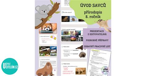 Ilustrace savců s jejich typickými znaky