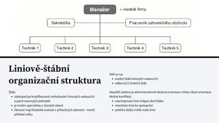 Struktura lékařských diagnostických oborů