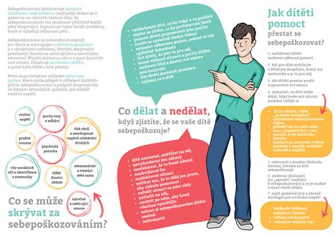 Infografika s přehledem oborů školy