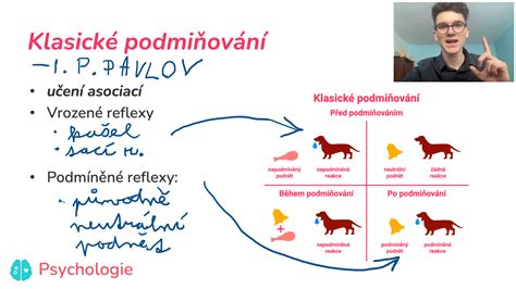 Infografika s rozpisem typických částí přijímacích zkoušek na psychologii.