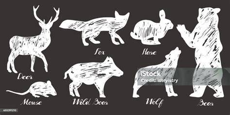 Ilustrace lesních zvuků