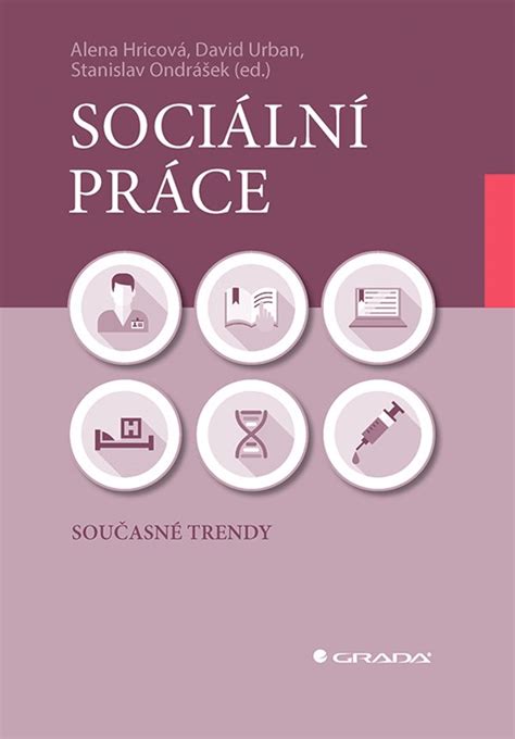 infografika o principech sociální práce