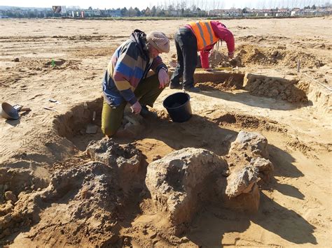 archeologický průzkum