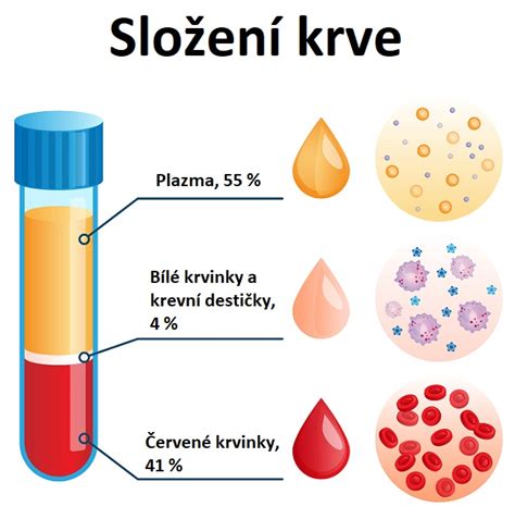 Struktura krve a krevních buněk