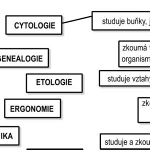 Schéma propojující různé vědní obory