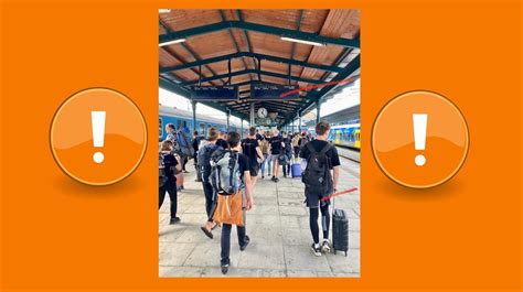 Ilustrace studentů bavících se na venkovních aktivitách během seznamovacího kurzu