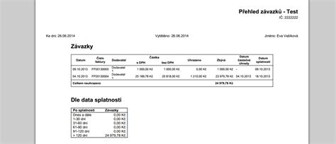 Přehled finančních závazků a pohledávek studenta