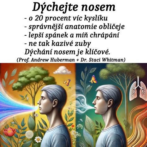 Lékař studující anatomii obličeje