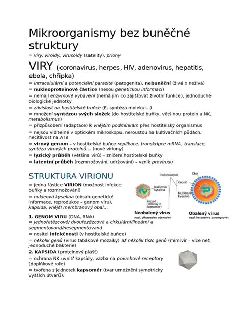 Ilustrace buněčné struktury