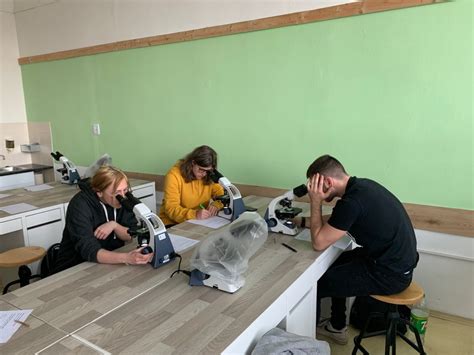 Studenti pracující na projektu v laboratoři