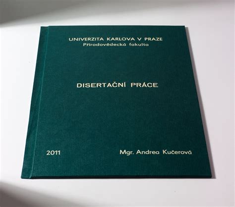 Ilustrace procesu vazby diplomové práce