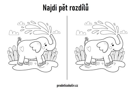 Rozdíly mezi pevným a měkkým typem vazby