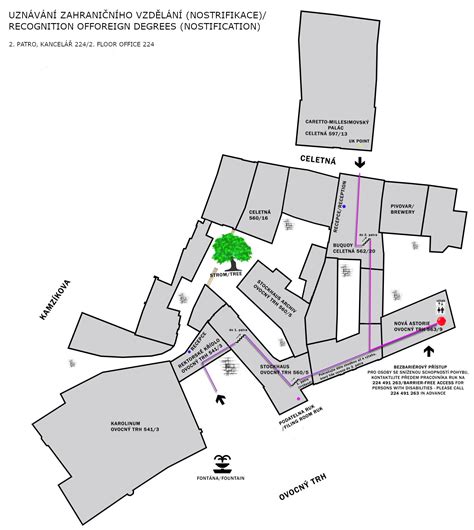 Proces uznávání zahraničního vzdělání