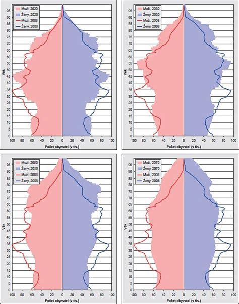 Demografická struktura bezdomovců