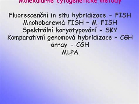Princip fluorescenční in situ hybridizace (FISH)