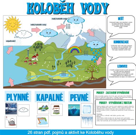 schéma přírodě blízké obnovy