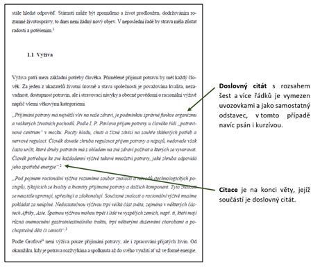 Příklady formátování textu v seminární práci