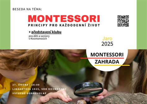 Ukázka Montessori pomůcek na téma ptáci