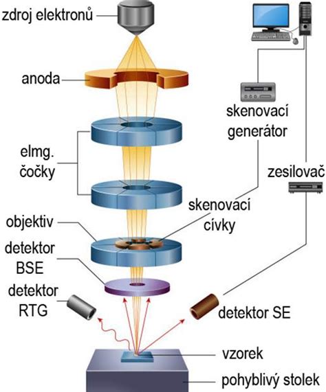 Schéma fungování transmisní elektronové mikroskopie (TEM)