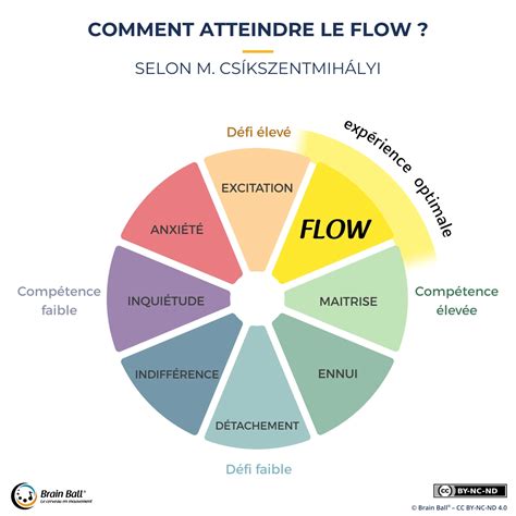 Schéma konceptu flow