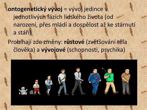 Vývojové období člověka