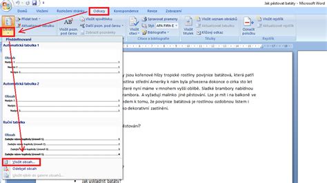 Vložení obsahu v Microsoft Word